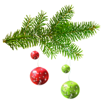 Fir Ornament Tree Day Year Christmas Jingle Bell Rock Download Image